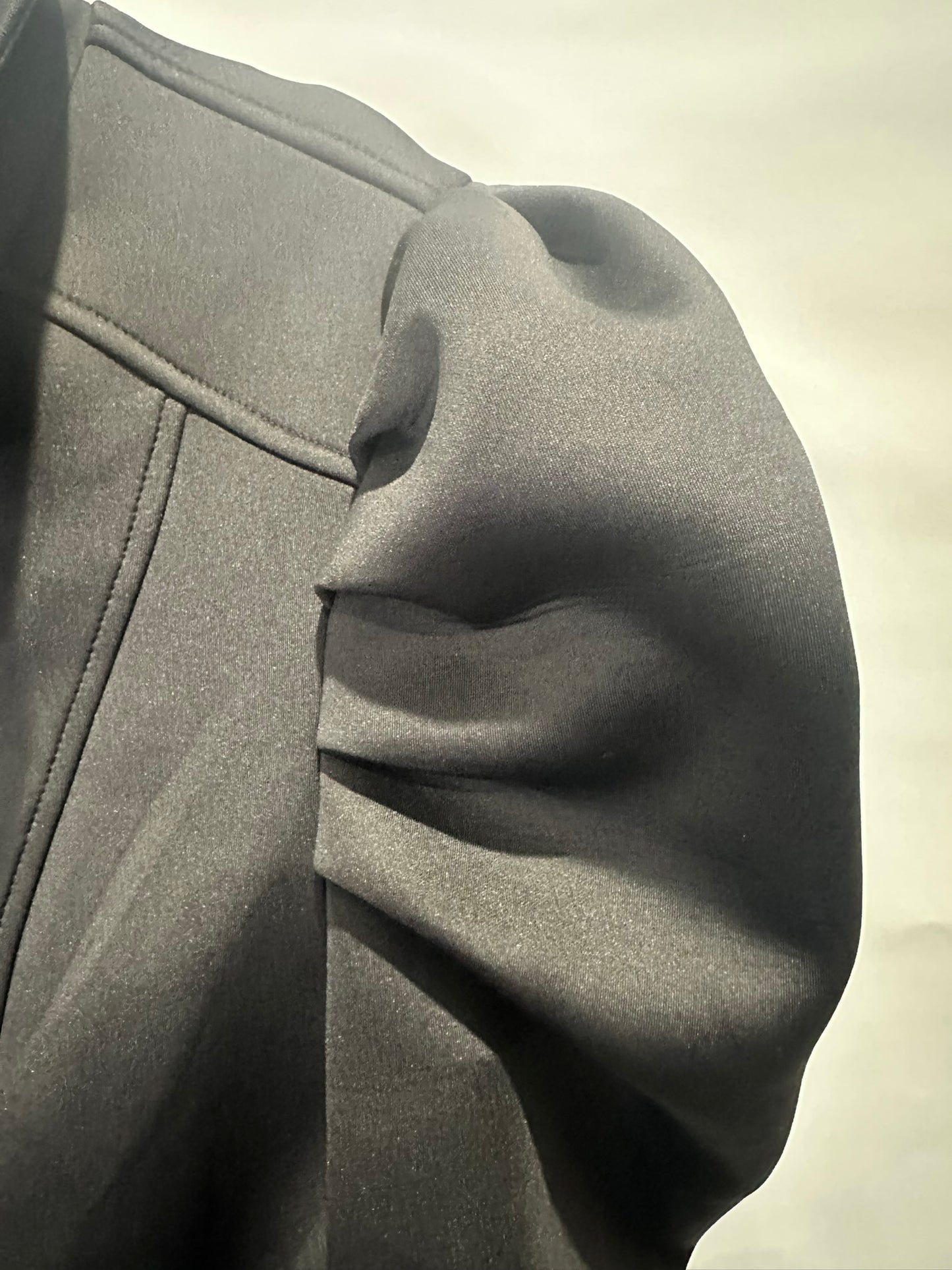 ZARA Structured Puff Sleeve Jacket